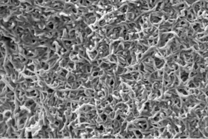 1710400978145844.png image.png