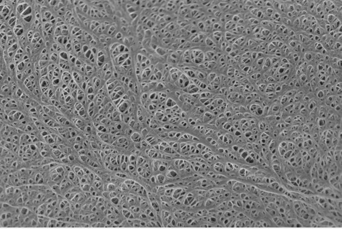 1710400995652583.png image.png