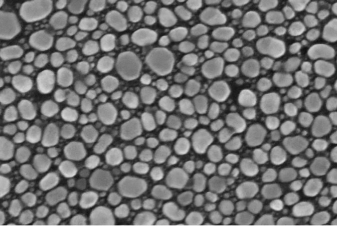 1710401008213869.png image.png