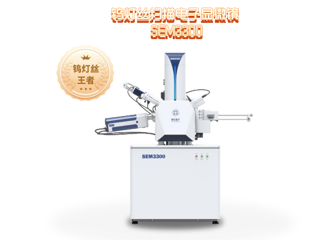 钨灯丝扫描电镜  SEM3300