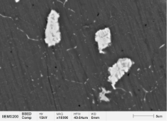 2A12铝合金析出相