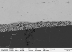 Mg-Zn合金化合物层