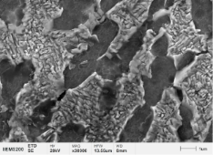 钛合金基体组织